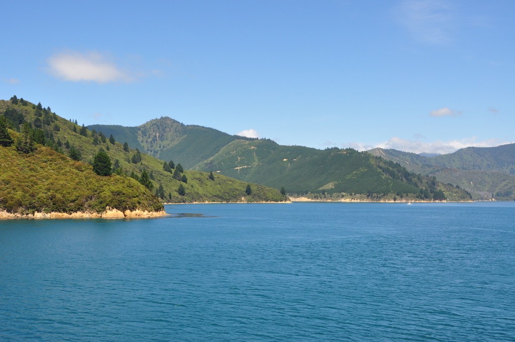 The ferry from Wellington to Picton (north to south islands) is a beautiful trip, especially in sunshine!